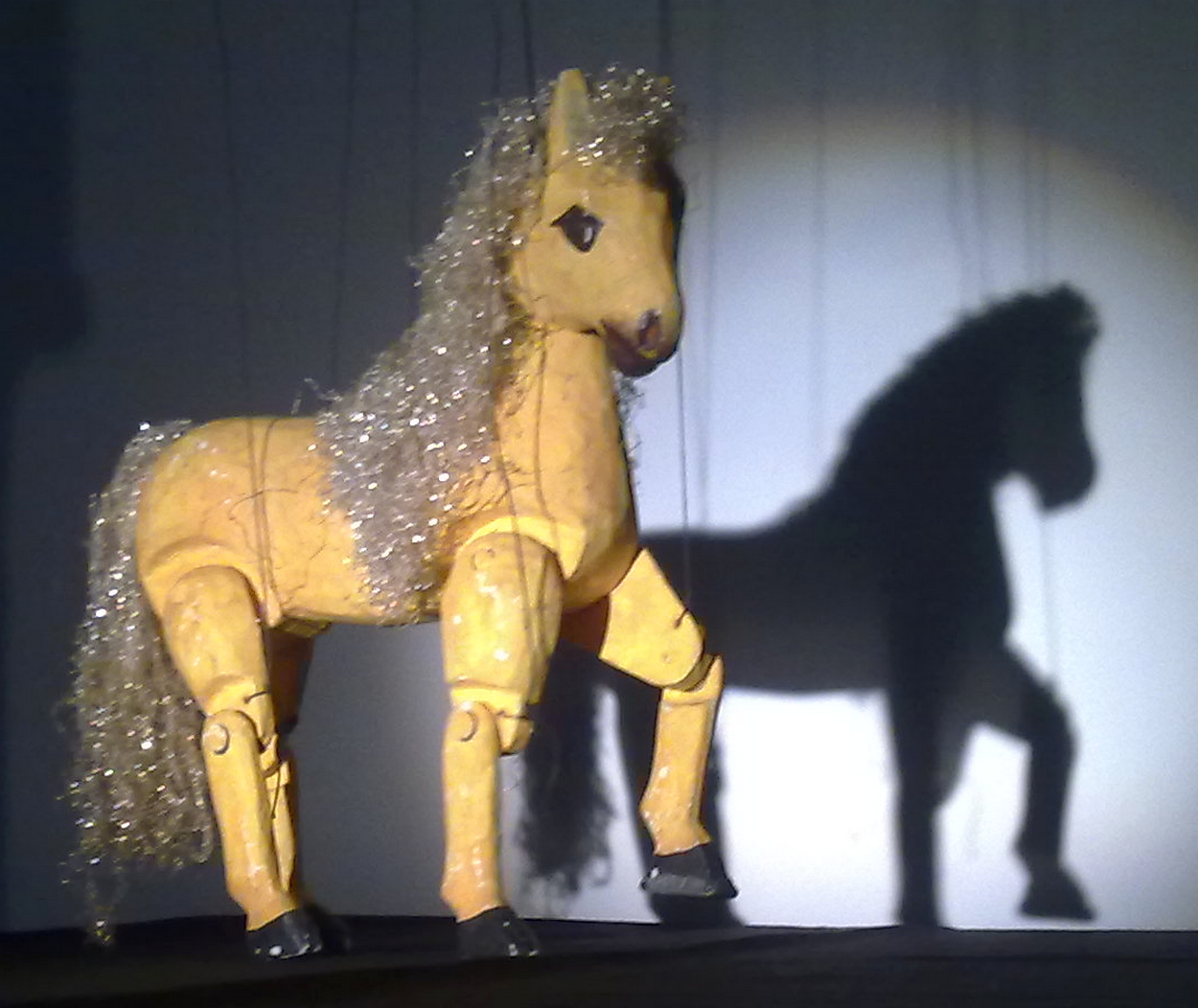 Weihnachtspferd für Prinzessin Lilli gesucht